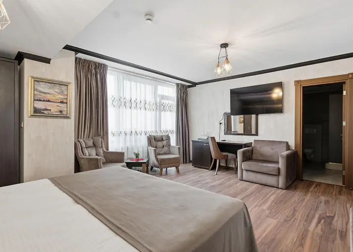 Reyna ゲストハウス コンスタンツァ