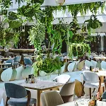 Guest house Reyna