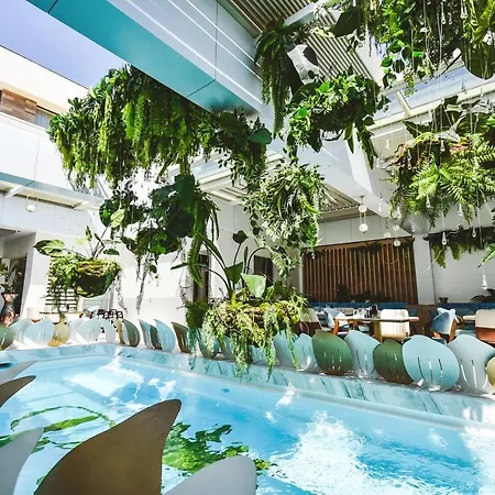 Reyna Penzion Constanţa